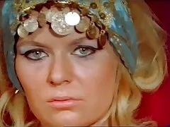 Habibi tout le monde !