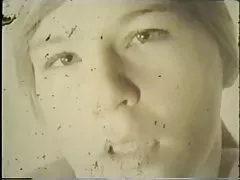 Brunehaut-jeeraldina