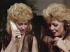 Je veux en savoir plus sur pussys