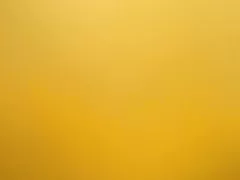 Bbw poilue sous couverture 2