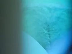 Poilue blonde bronzage au gymnase