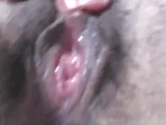 Chatte poilue et humide