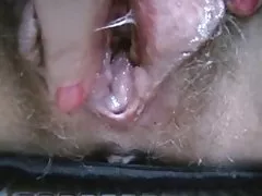 Chatte poilue humide