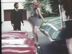 Chiennes sur la route