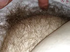 Frotte sa chatte poilue joufflus sofy sous le drap